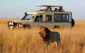SAFARI EXPERIENCE (Найроби-Амбосели-оз.Найваша-Масаи Мара-Найроби) -,  Найроби, Национальные парки, Кения