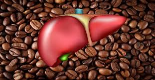 Coffee may protect against cirrhosis of the liver | Black Diamond Coffee