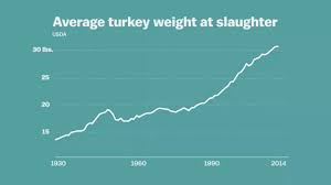 We have found the following website analyses that are related to average turkey weight. Vox On Twitter The Average Weight Of A Turkey At Slaughter 1929 13 2 Lbs 2013 30 3 Lbs Https T Co Awmpvldwfd Https T Co Ytqjak1kpv