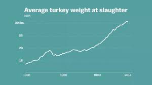 Current, historical, and projected population, growth rate, immigration, median age, total fertility rate (tfr), population density, urbanization, urban population, country's share of world population, and global rank. Vox On Twitter The Average Weight Of A Turkey At Slaughter 1929 13 2 Lbs 2013 30 3 Lbs Https T Co Awmpvldwfd Https T Co Ytqjak1kpv
