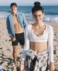 Noah Beck And Dixie Damelio In 2020 Cute Celebrities Famous Girls Girl Celebrities