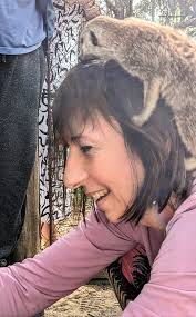 Bally Vaughan Animal Sanctuary