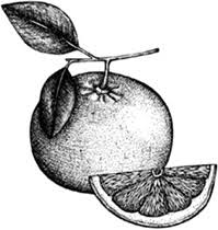 I have never seen so many labels of gin. Menu Holborn Dining Room Food And Drink