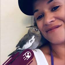 where can i buy origami paper ??