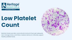 Image result for Platelet Count