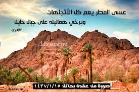 hail ksa meat food beef