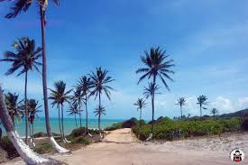 We did not find results for: Baia Formosa Rn Encanto Entre Rio Grande Do Norte E Paraiba Infonet O Que E Noticia Em Sergipe