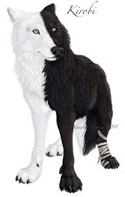 A lovely figure, she has long flowing hair as well as wolf. Anime Black Wolf White Wolf Novocom Top