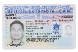 A small business owner could cut. Canadian Government Issued Id Example Paytm Help Center
