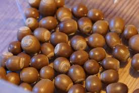 Image result for Quercus acutissima