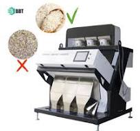 Belt Color Sorter Machines - Efficient Optical Sorting
