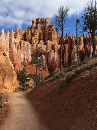 Bryce canyon queens garden trail. Queen S Garden Trail Bryce Canyon National Park Ut Natur Landschaft Reisen