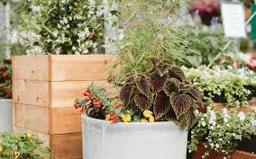 When applied to the targeted patches, the organic herbicide gets rid of established weeds and grass patches. How To Refresh A Tired Container Planting Dennis 7 Dees Landscaping Services Garden Centers