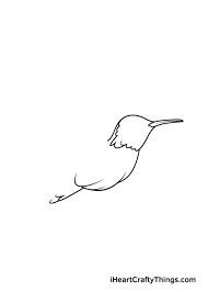 Make a semicircle under the right side of the. Hummingbird Drawing How To Draw A Hummingbird Step By Step