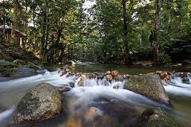 Tidak jauh dari lokasi wisata ini, juga selain berenang di arus sungai dan kolam air terjun, pengunjung juga dapat berenang di kolam buatan pengelola. 16 Air Terjun Di Selangor Yang Menarik Untuk Day Trip Seronok Best