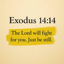 Exodus 14:14: “The Lord will fight for you; you need only to be still.” In times of chaos, uncertainty, or overwhelming battles, it's easy to want to take control, to fix everything