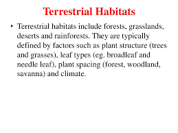 The identification of terrestrial critical habitat follows the methodology developed for screening critical habitat in critical habitat definition (s4 table) but excluded on the basis of their spatial resolution. What Are The Types Of Terrestrial Habitats