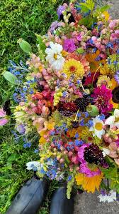 This beauty hit early July a couple years ago., It was late spring blooms  colliding with the warm season ahead. (And this was, by far, my best  snapdragon season