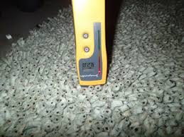 How to find & clean up basement mold contamination: Mold In Basement How To Fix A Moldy Basement Environix