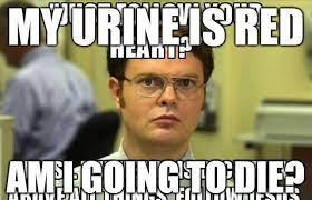 More images for dwight schrute memes » Dwight Schrute Meme Memes