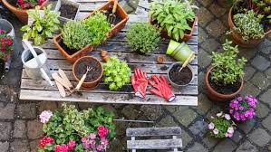 Luther burbank home and gardens, park in santa rosa, california. Beginning Home Gardening Guide Angi Angie S List