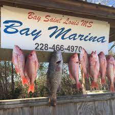 Bay Marina Home Facebook