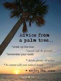 Pin On Beach Quotes