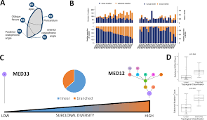 A relative survival rate compares people with the same type and stage of malignant pleural mesothelioma (mpm) to people in the overall population. Clonal Architecture In Mesothelioma Is Prognostic And Shapes The Tumour Microenvironment Nature Communications