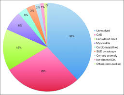 causes of sports related sudden deaths srsds in the