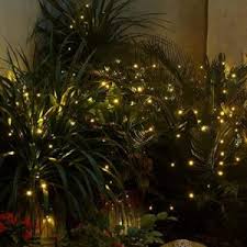 Best Decorative Lights Top 10 String Light Guide In 2020