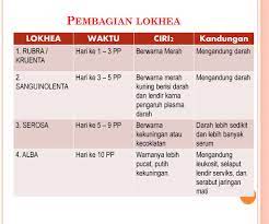 Masa maksimalnya 60 hari 60 malam, dan pada umumnya 40 darah kuat adalah darah yang sifat kuatnya lebih banyak dibanding darah lainya (lemah) warna hitam lebih kuat dibanding warna merah,merah semu kuning. Warna Darah Nifas Akhir San Kalop