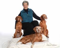 Click here to learn more about vizslas! Fawa Vizslas About