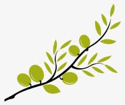 Branch png transparent branch png images pluspng. Olive Branch Png Transparent Olive Branch Png Image Free Download Pngkey