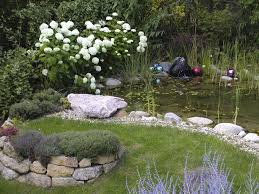 Gartenteich Mit Hortensien Annabelle Outdoor Pflanzen Grosser Garten