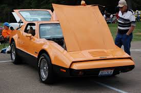 Image result for Safety Orange 1976 Bricklin