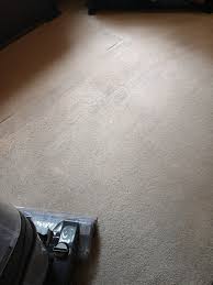 Vax Platinum Power Max Carpet Cleaner Review How Does It Tackle Pet Stains