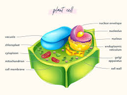 We did not find results for: How To Pass The Ati Teas Science Section Pocket Prep