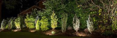 Led 6 flower accent exterior lights kit. Led Landscape Lights Why Are They Ideal For Outdoor Lighting Garden Light Led