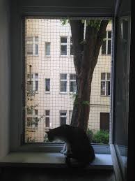 Geschutztes Blog Anmelden Katzen Fenstersicherung Fensterschutz Katze
