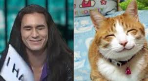 Check spelling or type a new query. Maneskin As Cats Maneskin