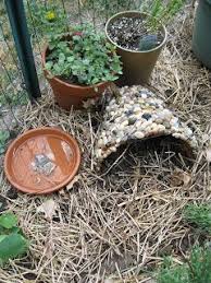 While the oven is on it is just as easy to make roast potatoes and parsnips the batter of the toad in the hole should rise and be crispy. Kids Post Building A Toad House