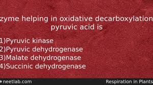 Fate Of Pyruvic Acid In Biochemistry Pharm D Notes.Pptx