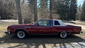 Image result for Medium Dark Spruce 1981 Mercury