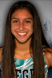 All-area cross country: Siegel's Hayes, Tickle top the list