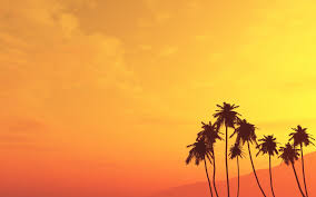We did not find results for: Palm Tree Backgrounds Wallpaper Cave