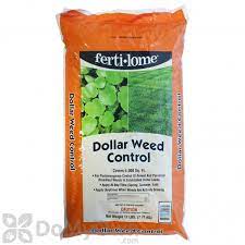 Sometimes chemical control is necessary for killing dollar weeds. Fertilome Dollar Weed Control