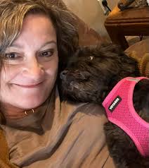 What could be causing my AussieDoodle's recurring soft stool issue?