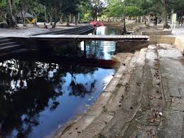 We did not find results for: Colakreek Vejo Naar Suriname