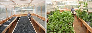 Portable Farms Aquaponics Systems Course C