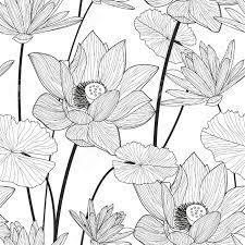 Check spelling or type a new query. Vector Seamless Pattern With Beautiful Lotus Flower Black And White Floral Line Illustration Background Royalty Free Cliparts Vectors And Stock Illustration Image 42912978